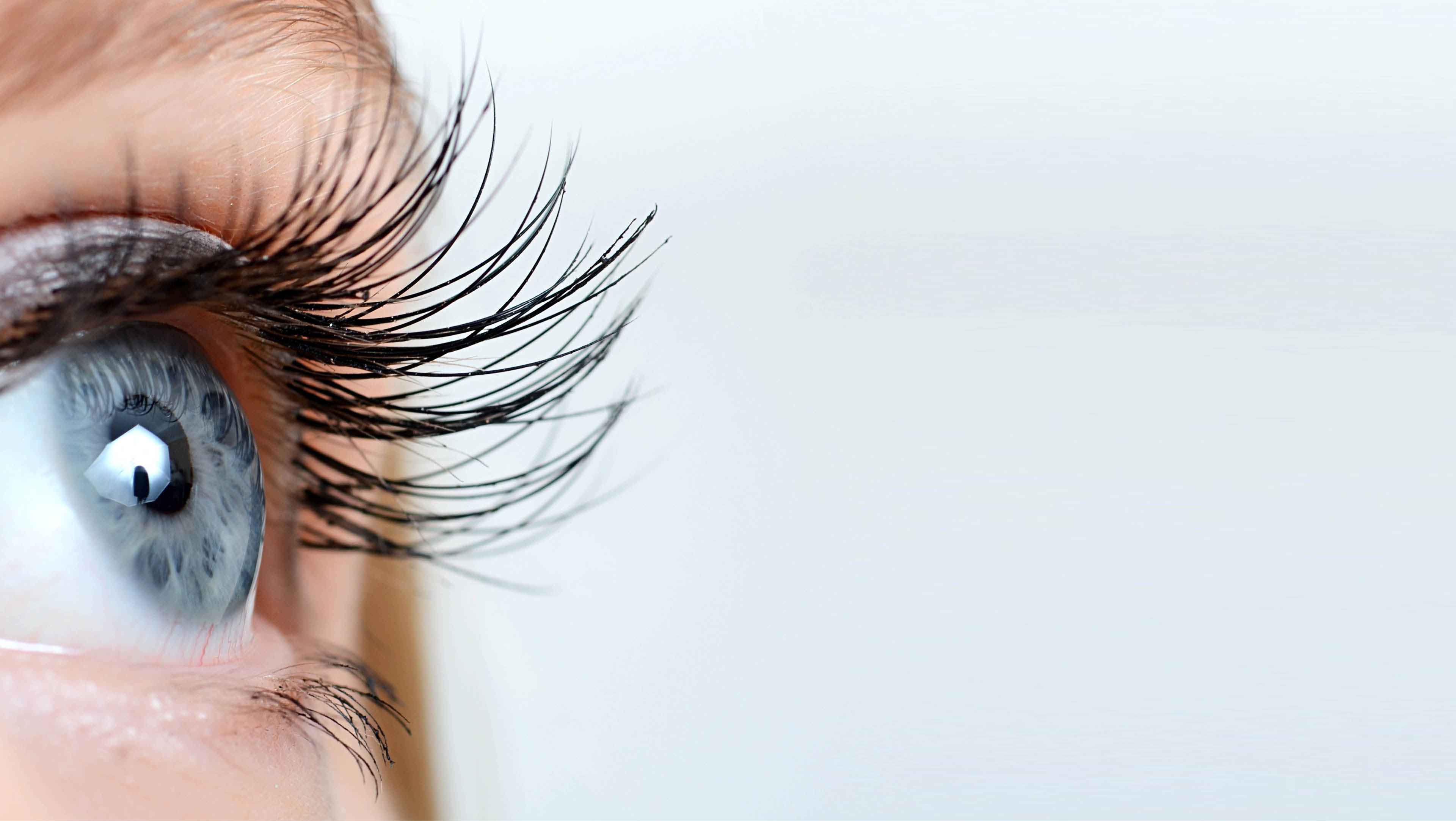 Female eye with long eyelashes close up